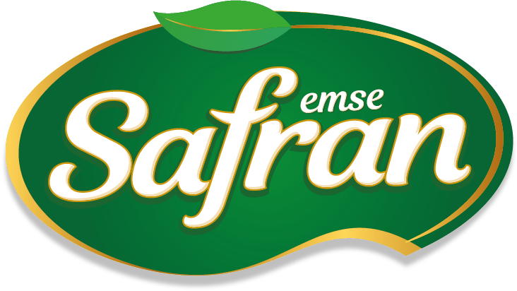 Safran Emse